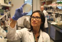 Research team discovered a new cellular target that can weaken the bacterium Pseudomonas aeruginosa