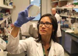 Research team discovered a new cellular target that can weaken the bacterium Pseudomonas aeruginosa