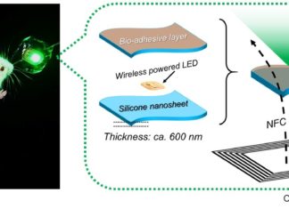 Scientists from Waseda University developed bioadhesive, wirelessly powered light-emitting device that could better treat cancers in delicate organs