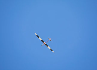 Scientists have created a self-flying glider that uses machine learning to navigate rising air currents