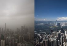 Soot and dust alters thyroid development in fetuses before they are born in smoggy cities