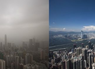 Soot and dust alters thyroid development in fetuses before they are born in smoggy cities
