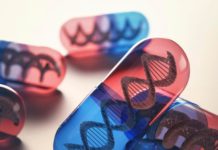 Study indicates that aging may have originated at the very beginning of the evolution of life,