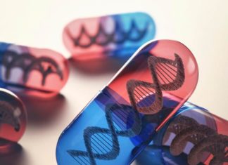 Study indicates that aging may have originated at the very beginning of the evolution of life,