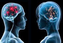 Brain plasticity stabilization processes become dysregulated as we age