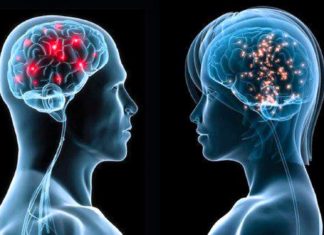 Brain plasticity stabilization processes become dysregulated as we age