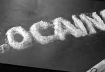 Research describe a novel approach that was able to stifle the desire for cocaine and to protect against an overdose