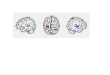As we make decisions about whether or not to trust people who are different from us we pay a lot of attention both to visual cues and to a person’s voice