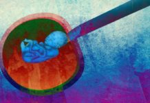 University of Manchester scientists say mildly stressing an embryo might result in an increased likelihood of successful attachment to the womb