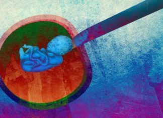 University of Manchester scientists say mildly stressing an embryo might result in an increased likelihood of successful attachment to the womb
