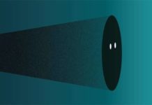 Researchers have identified the variables that lead the brain to apply specific defensive strategies while under the threat of danger