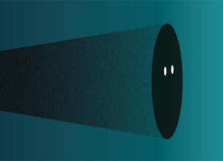 Researchers have identified the variables that lead the brain to apply specific defensive strategies while under the threat of danger