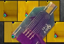 MIT researchers have developed a new sensor that is able to track and monitor dopamine in the brain for up to a year
