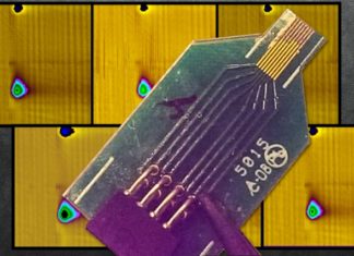 MIT researchers have developed a new sensor that is able to track and monitor dopamine in the brain for up to a year
