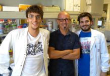 The small SynuClean-D molecule interrupts the formation of the alpha-synuclein amyloid fibres responsible for the onset of Parkinson’s disease, and reverts the neurodegeneration caused by the disease