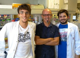 The small SynuClean-D molecule interrupts the formation of the alpha-synuclein amyloid fibres responsible for the onset of Parkinson’s disease, and reverts the neurodegeneration caused by the disease