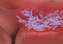A cluster of factors may help predict which patients are likely to develop Clostridioides difficile