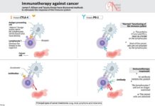 A revolutionary cancer treatment therapy weaponises immune system against cancer