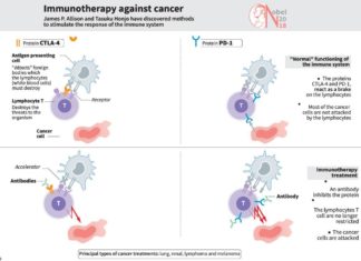 A revolutionary cancer treatment therapy weaponises immune system against cancer