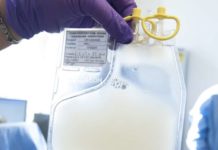 A single engineered leukemia cell was able to reproduce and cause a deadly recurrence of B-cell acute lymphoblastic leukemia