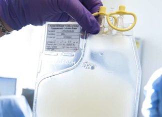 A single engineered leukemia cell was able to reproduce and cause a deadly recurrence of B-cell acute lymphoblastic leukemia