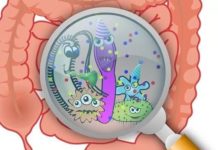 A study of gut microbes from more than 400 children points to how the microbiome behaves in this inflammatory bowel disease