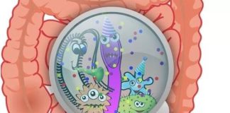 A study of gut microbes from more than 400 children points to how the microbiome behaves in this inflammatory bowel disease
