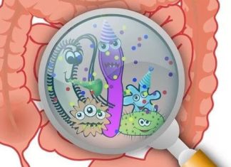 A study of gut microbes from more than 400 children points to how the microbiome behaves in this inflammatory bowel disease