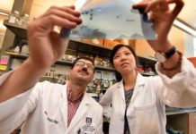 Targeting HSP70 could be an effective strategy for some of the most aggressive breast cancers