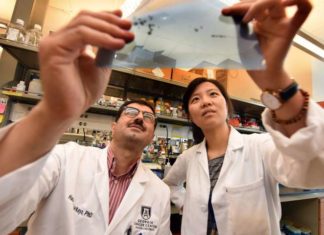Targeting HSP70 could be an effective strategy for some of the most aggressive breast cancers
