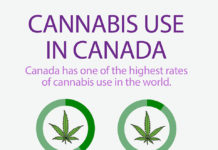 Canada legalizes cannabis – Israel, leader in medical marijuana, awaits … economic benefits do not justify the damage of the peak country for cannabis exports