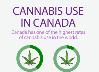 Canada legalizes cannabis – Israel, leader in medical marijuana, awaits … economic benefits do not justify the damage of the peak country for cannabis exports