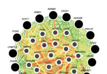 Chronic kidney disease treatment : Genetic variants reveal new targets