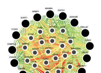 Chronic kidney disease treatment : Genetic variants reveal new targets