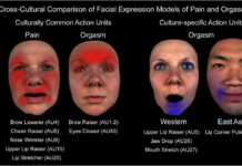 Contrary to popular belief – the orgasm face is not the same as the pain face