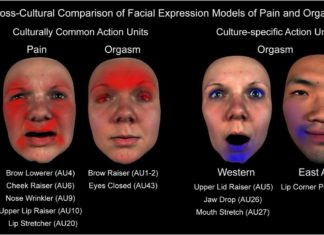 Contrary to popular belief – the orgasm face is not the same as the pain face