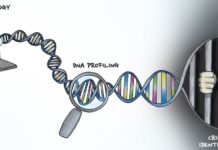DNA searching consumer websites – DNA profiles of just 2 percent of a population is enough to match nearly everybody with somebody who’s as closely related as a third cousin