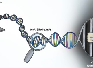 DNA searching consumer websites – DNA profiles of just 2 percent of a population is enough to match nearly everybody with somebody who’s as closely related as a third cousin