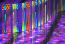 Infectious Diseases : DNA sequencing and patient data used to halt the infection outbreak