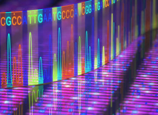 Infectious Diseases : DNA sequencing and patient data used to halt the infection outbreak
