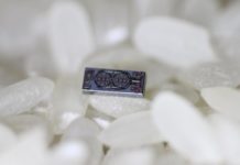 Engineers create an optical gyroscope smaller than a grain of rice