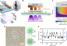 Engineers have developed a 3-D printing technique that opening up new biomedical avenues that could one day include artificial arteries and organ tissue