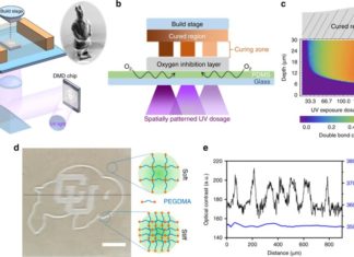 Engineers have developed a 3-D printing technique that opening up new biomedical avenues that could one day include artificial arteries and organ tissue