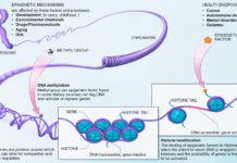 A new method for sequencing DNA for better detection of cancer and other diseases in the blood