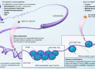 A new method for sequencing DNA for better detection of cancer and other diseases in the blood