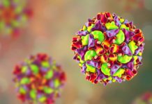 Robust environmental monitoring should be used as the world approaches global eradication of polio