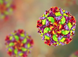 Robust environmental monitoring should be used as the world approaches global eradication of polio
