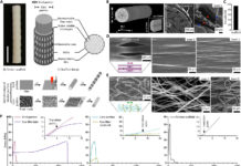 Functional regeneration of tendons using polymeric three-dimensional scaffold engineered with tendon-like mechanical properties and controlled anisotropic microarchitectures