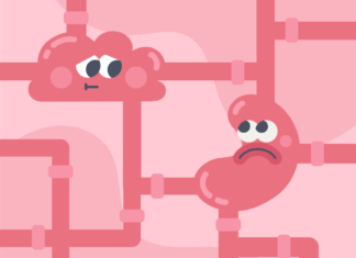 Gut and brain are more closely connected than we once thought