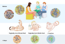 Gut microbiome could help doctors personalize nutrients and feeding patterns to help the most vulnerable babies get a stronger start to life